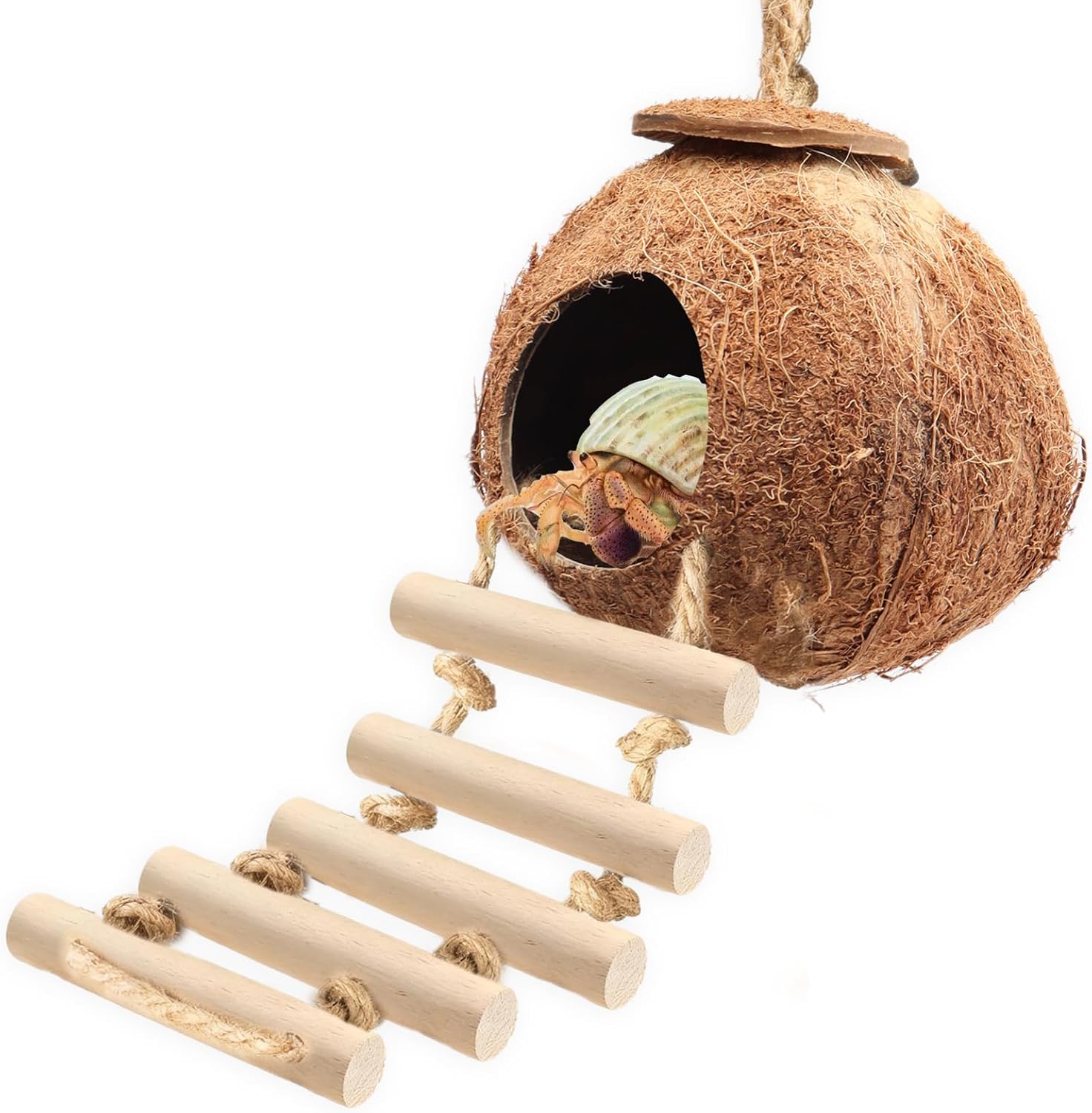 Gecko Tank Accessories Natural Coconut Shell Hut with Climbing Ladder & Suction Cup Hermit Crab Toys Reptile Hideout