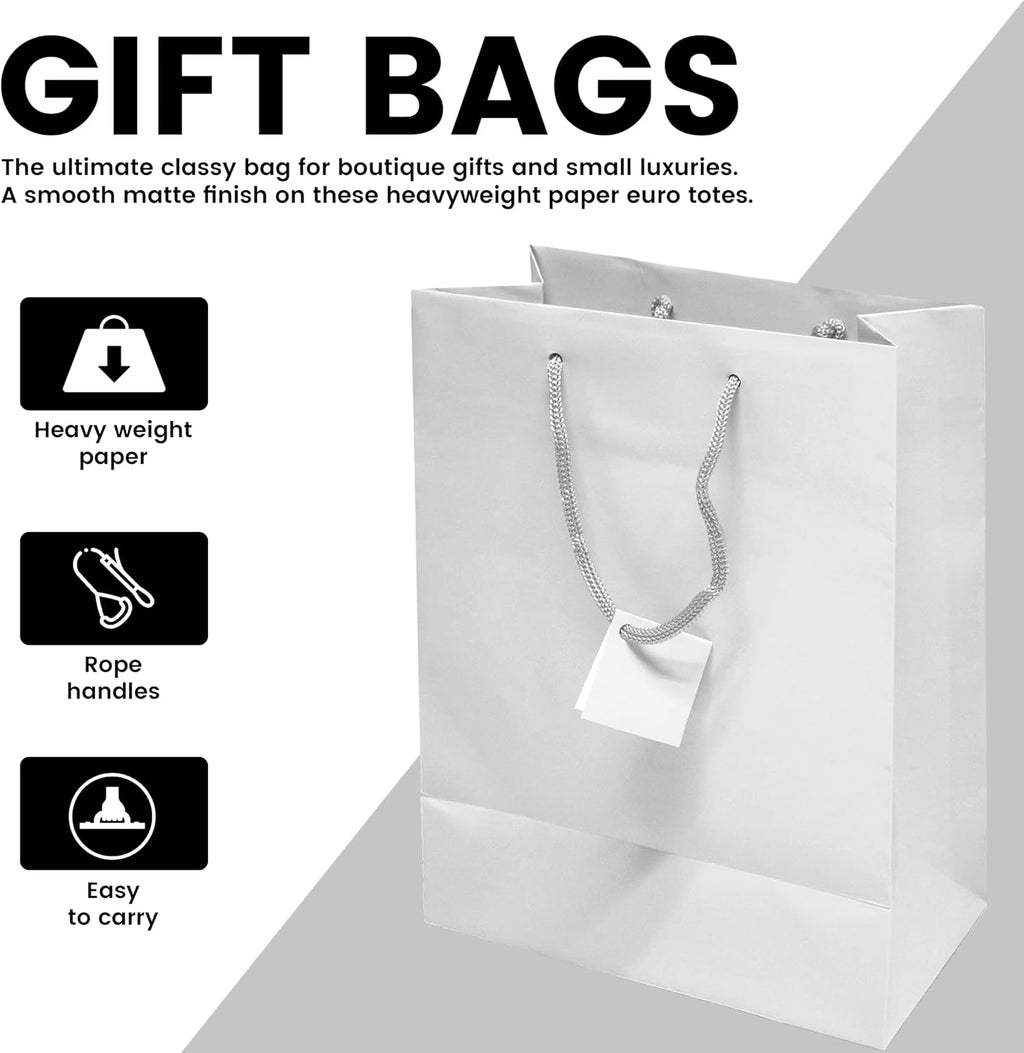 Novel Box White Gift Bags with Handles 10 Pack 4.75x3.25x6.75 Inches