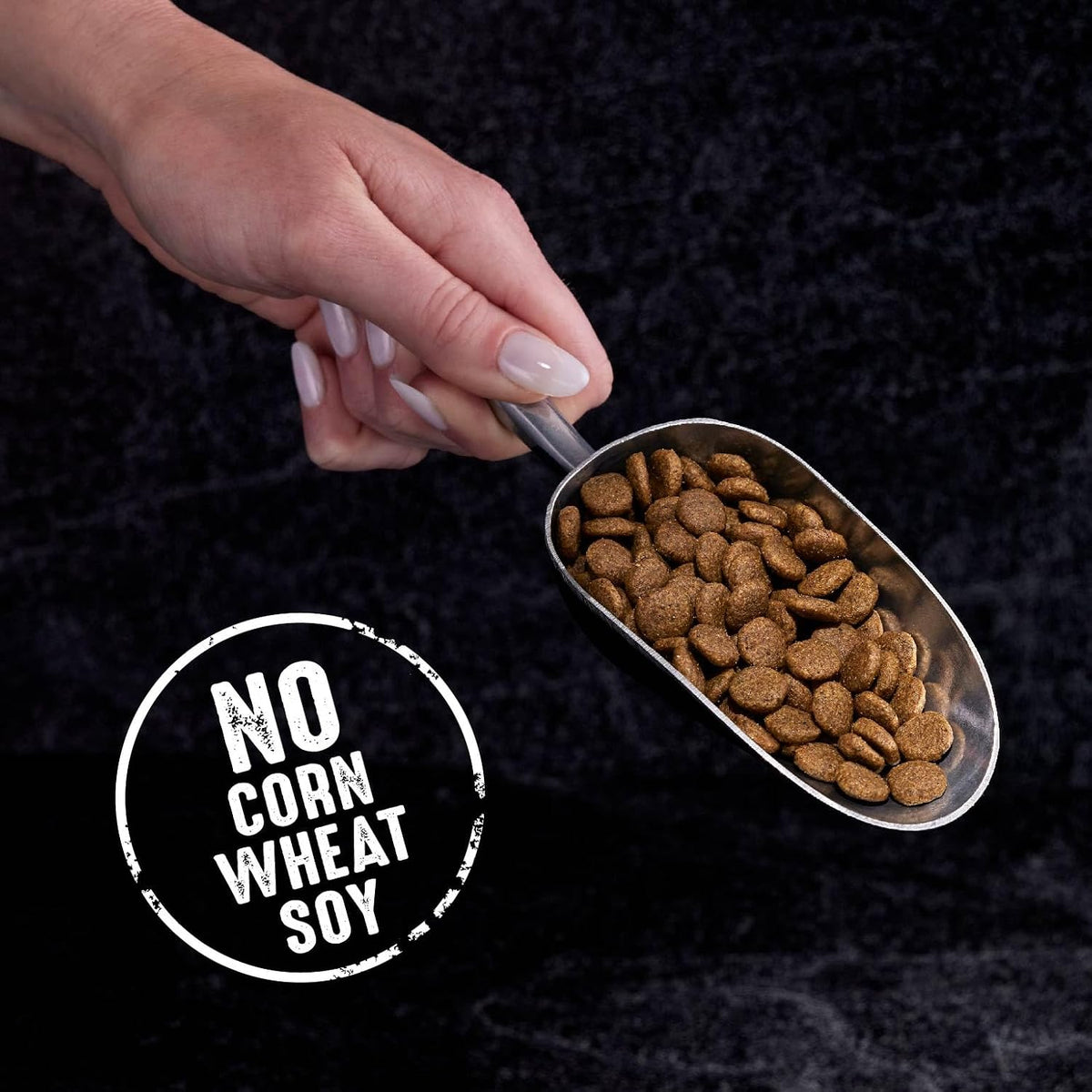 Grain Free High Protein Natural Adult Dry Cat Food, Chicken, 2 lb