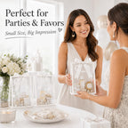 12 Pack Clear Gift Bags with Handles, White