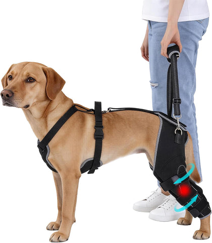 Dog Rear Leg Brace for ACL/CCL Injury, Hinged Hind Leg Support Harness for Weak Back Legs, Torn ACL, Post-Surgery