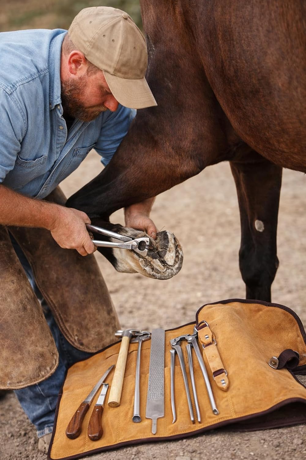 Horse Farrier Tool Kit Grooming Hoof Bot Shoe Puller Nipper Rasp 984109