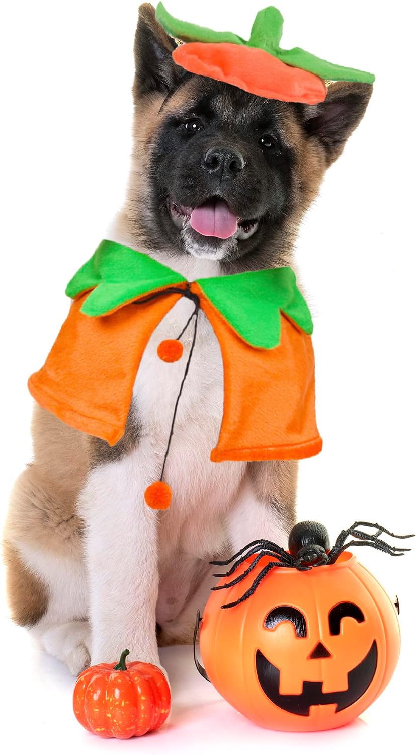 Halloween Pumpkin Dog Costume, Orange Dog Pumpkin Hat Cloak Set