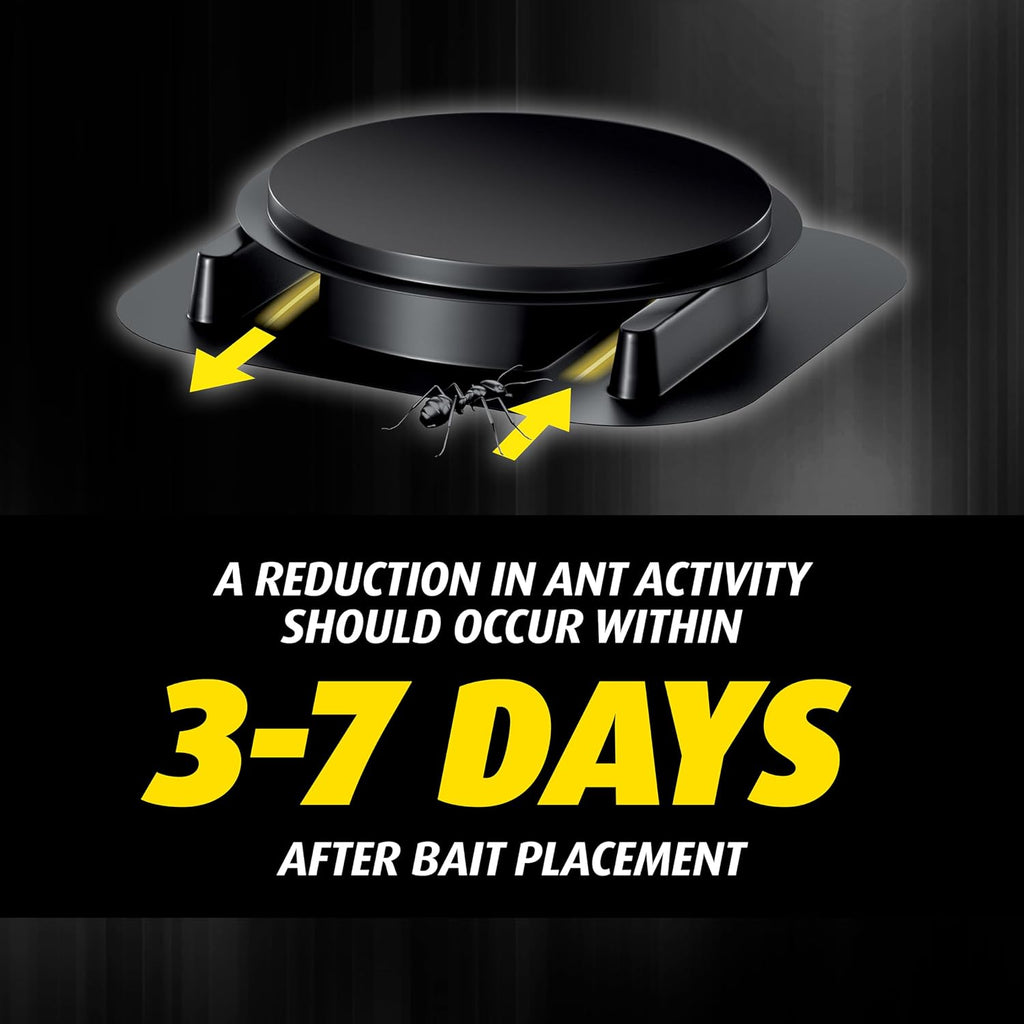 Orthene Ant Killer Ant Bait, 12 Bait Stations | Indoor Ant Killer, Kills the Queen and the Colony