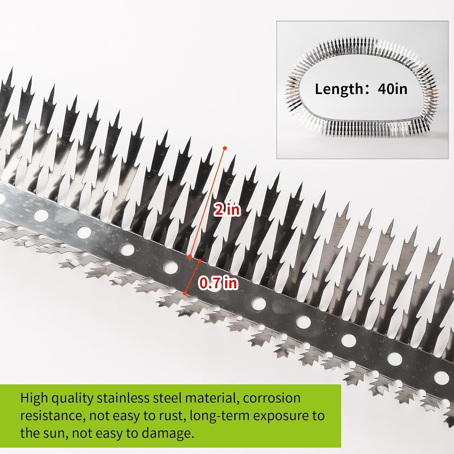 Bird Spikes.Raccoon Snake Deterrent.Squirrel Spikes.Stainless Steel Squirrel baffles for Bird feeders.Anti Climb
