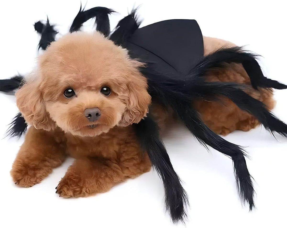 Spider Pet Costume Adjustable Halloween Cat Small Dog Cosplay