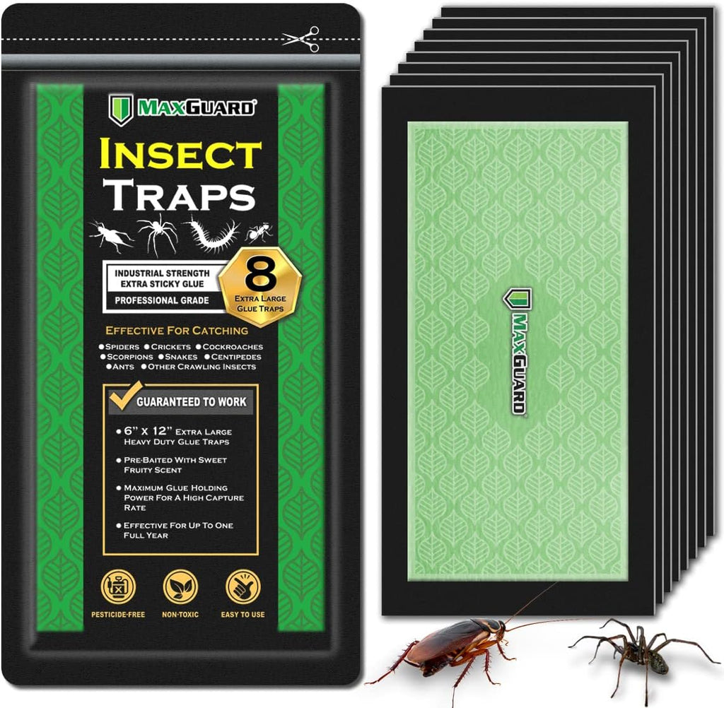 Extra Large Insect Traps (8 Traps) | Non-Toxic Extra Sticky Pre-Baited Glue Board, Trap & Kill Most Crawling Insects