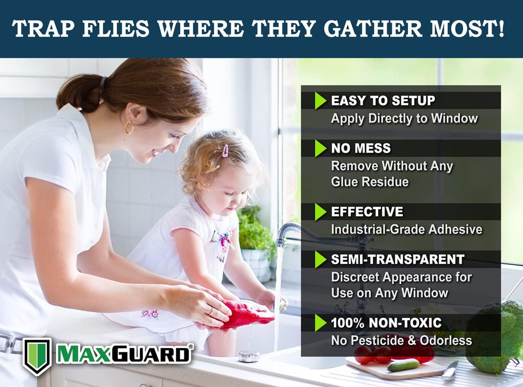 Window Fly Traps (24 XL Traps) Catch & Kill Houseflies, Flying Insects & Bugs. Non-Toxic Sticky Glue Traps Fly Killer