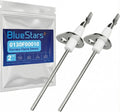 BlueStars 2 Packs 0130F00010 Flame Sensor