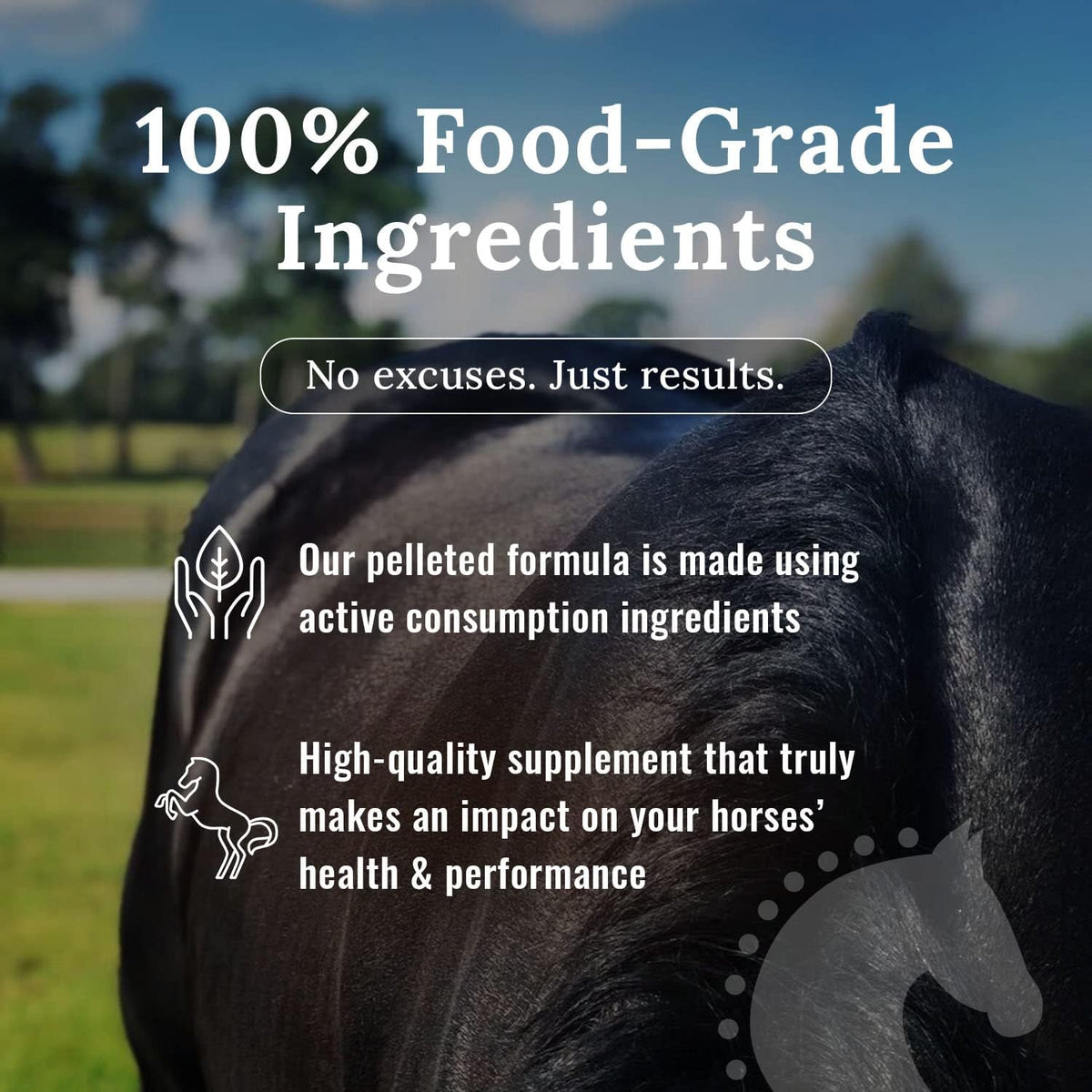Joint Horse Supplements, Equine Pelleted Supplement, All Natural Joint Care Supplement for Horses, 10 lbs