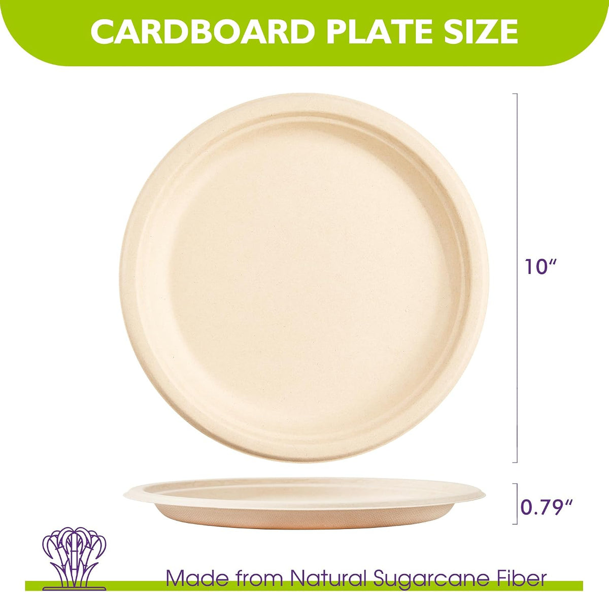 10 Inch 150 Pack Compostable Paper Plates