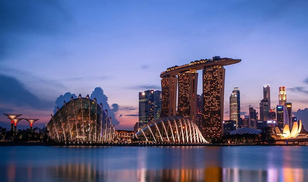 Singapore Cityscape Puzzles for Adults 1000 Pieces,Jigsaw Puzzle Challenging Educational Fun Family Activities Games