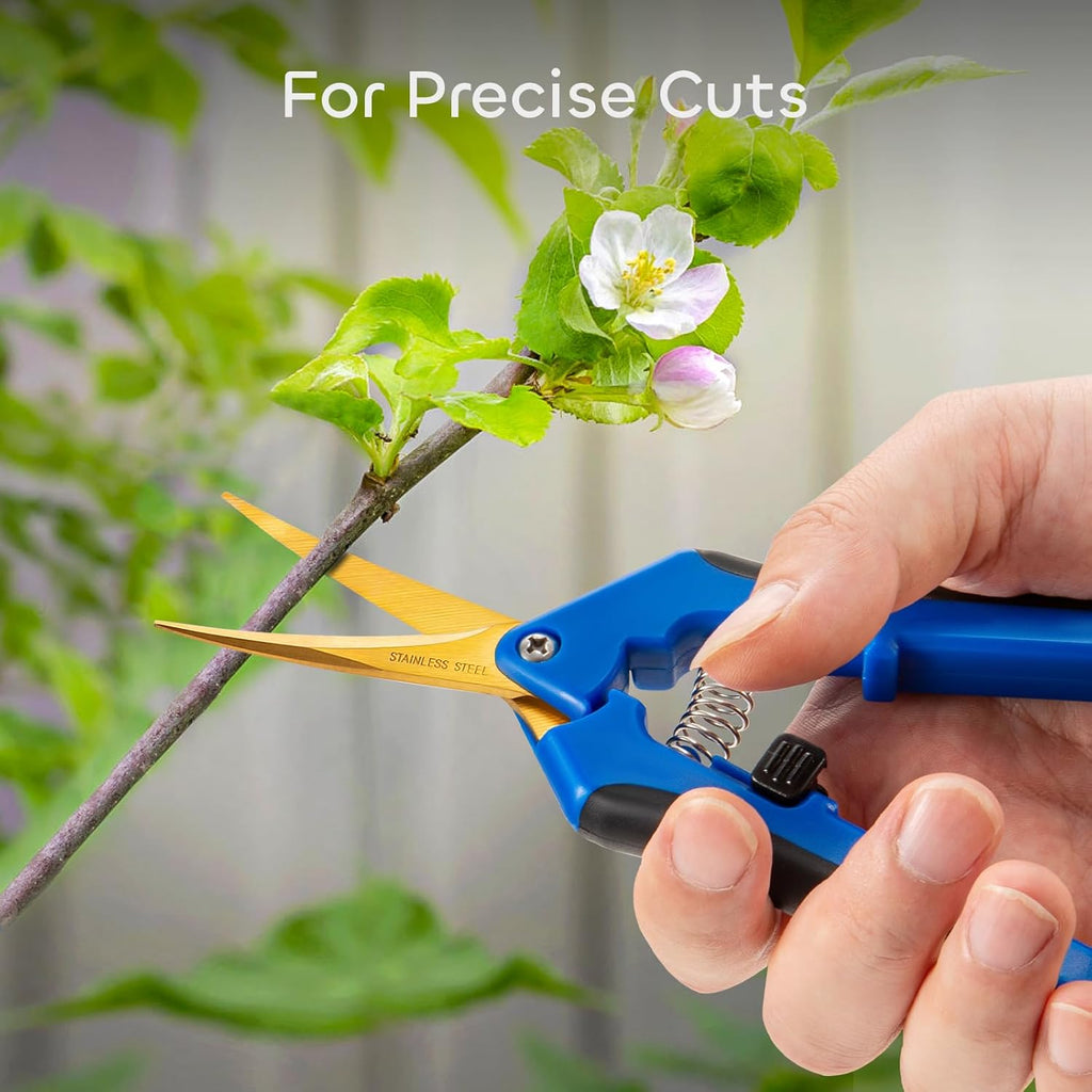6 Packs 6.5 Inch Pruning Shears with Curved Blades Trimming Scissors For Gardening Hand Pruning Snips Titanium Coated