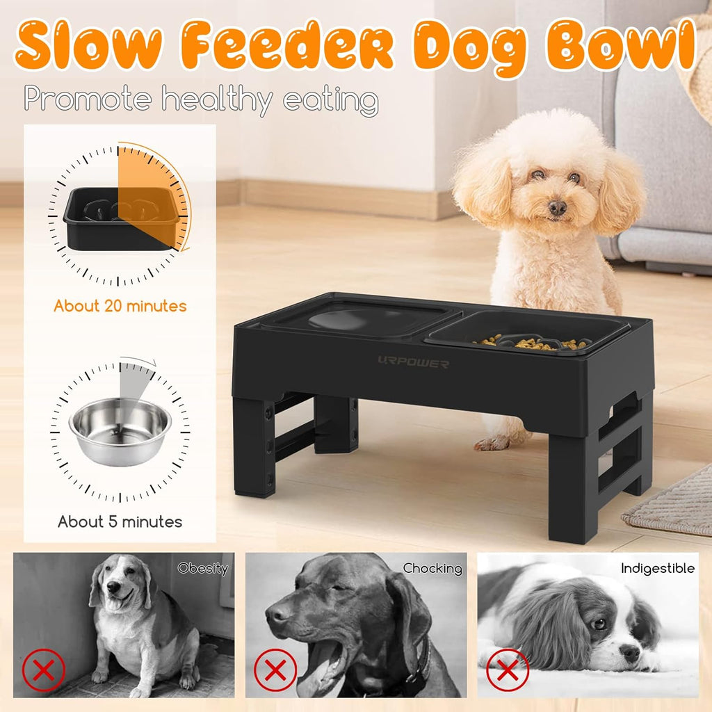 2-in-1 Elevated Slow Feeder Dog Bowls with No-Spill Water Bowl, 4 Height-Adjustable Raised Dog Bowls, Non-Slip Food