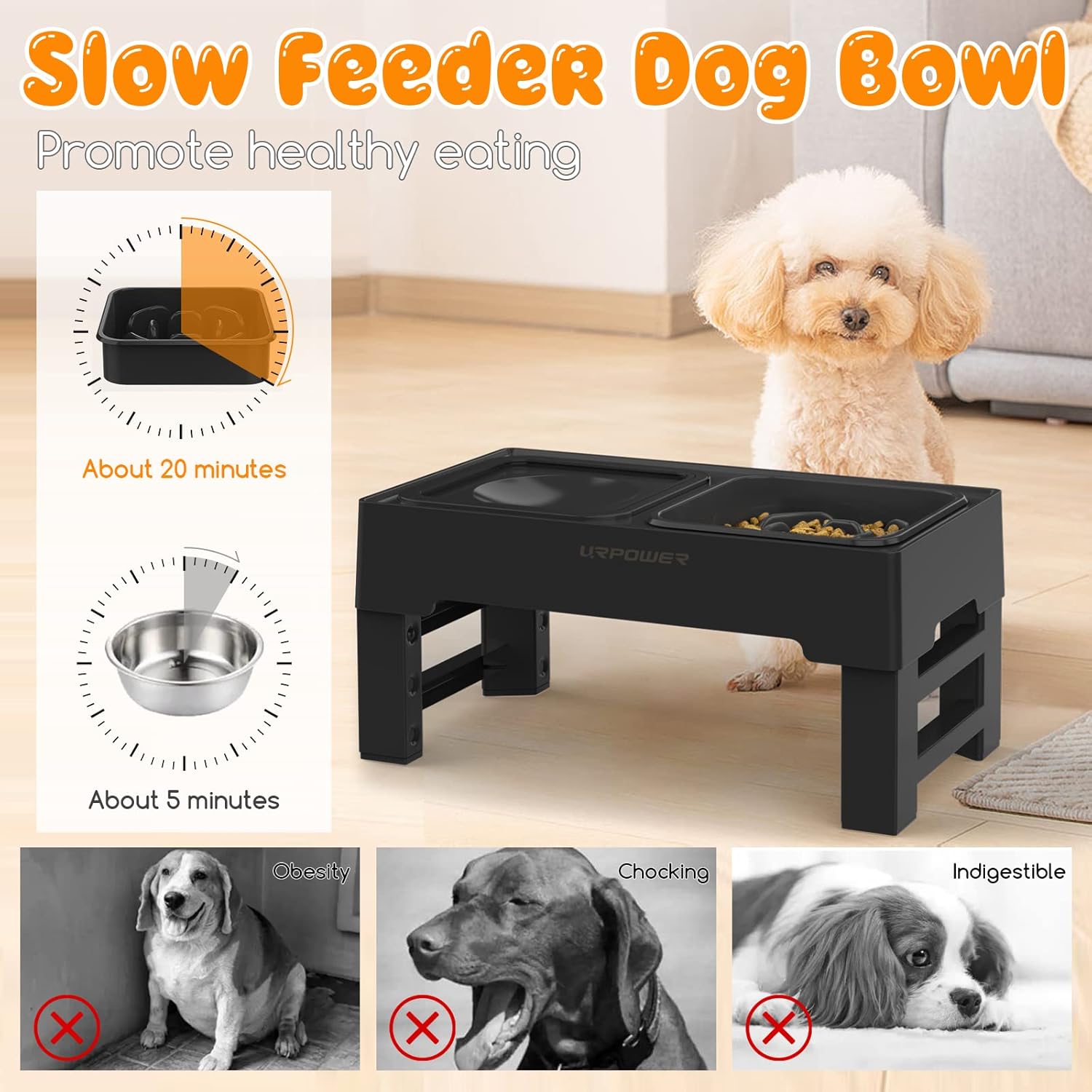 2-in-1 Elevated Slow Feeder Dog Bowls with No-Spill Water Bowl, 4 Height-Adjustable Raised Dog Bowls, Non-Slip Food