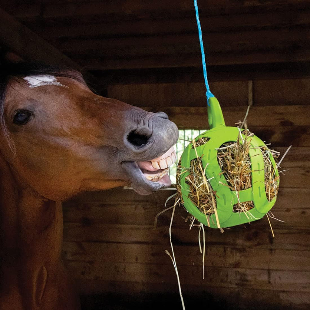 Jolly Hay Ball Stall Toy for Horses, Green