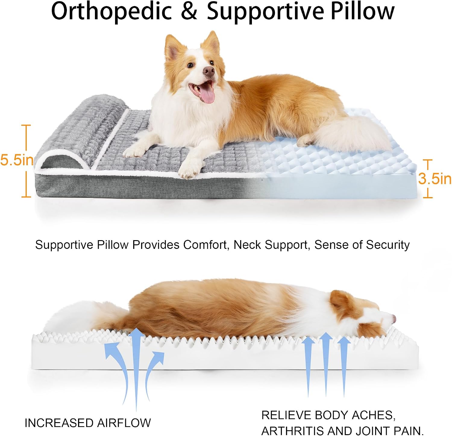 Orthopedic Dog Bed Large Sized Dog with Pillow 36''X24'', Waterproof Soft Comfortable Egg Crate Foam Pet Crate Beds