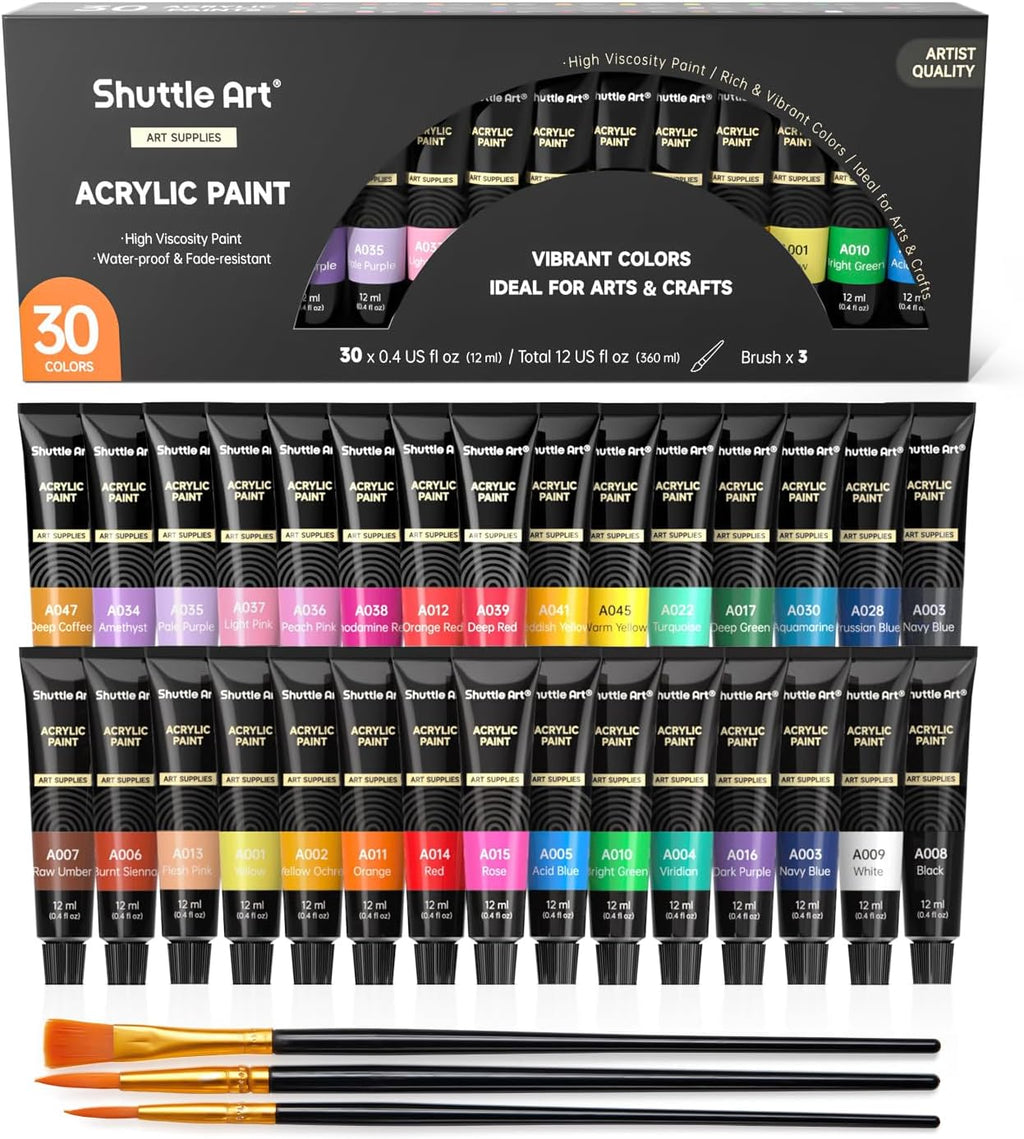 Acrylic Paint Set, 30 x12ml Tubes Artist Quality Non Toxic Rich Pigments Colors Great for Kids Adults Professional