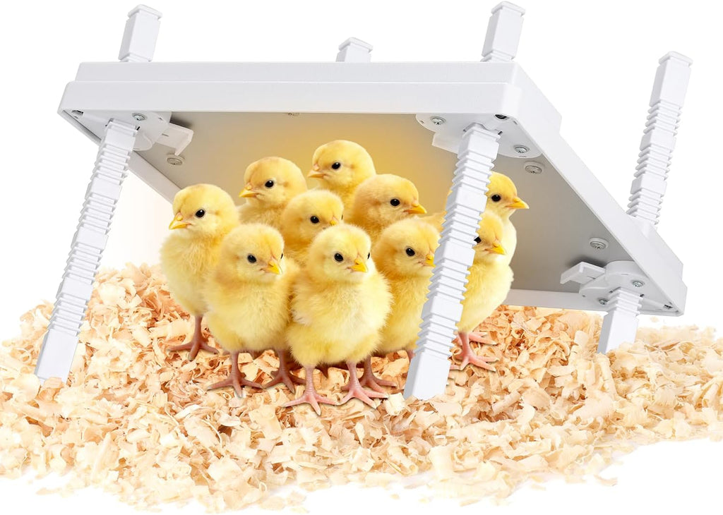Updated 12"x12" Chick Heat Plate | Adjustable Height & Angle | 30W Lower Energy | Remote-Controlled Temp & Time |