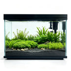 5 Gallon Fish Tank with Filter and Light