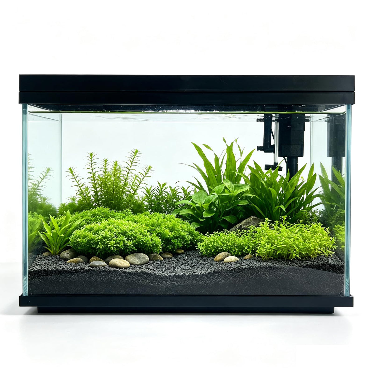 5 Gallon Fish Tank with Filter and Light