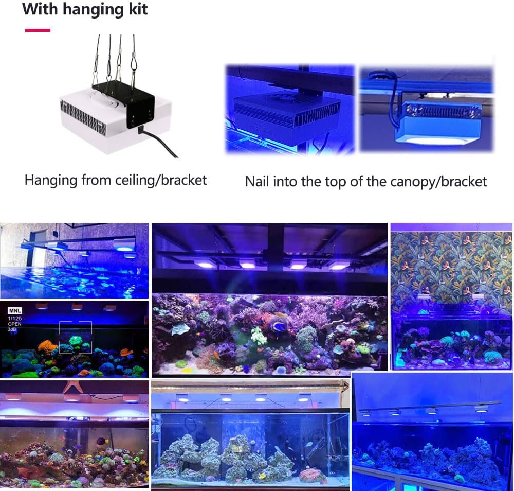 RL90 WiFi Reef LED Light, 100W Reef Aquarium Lighting for SPS LPS Corals and Saltwater Fish Tanks, Enhanced Violet