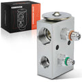 AC Expansion Valve Compatible with Western Star