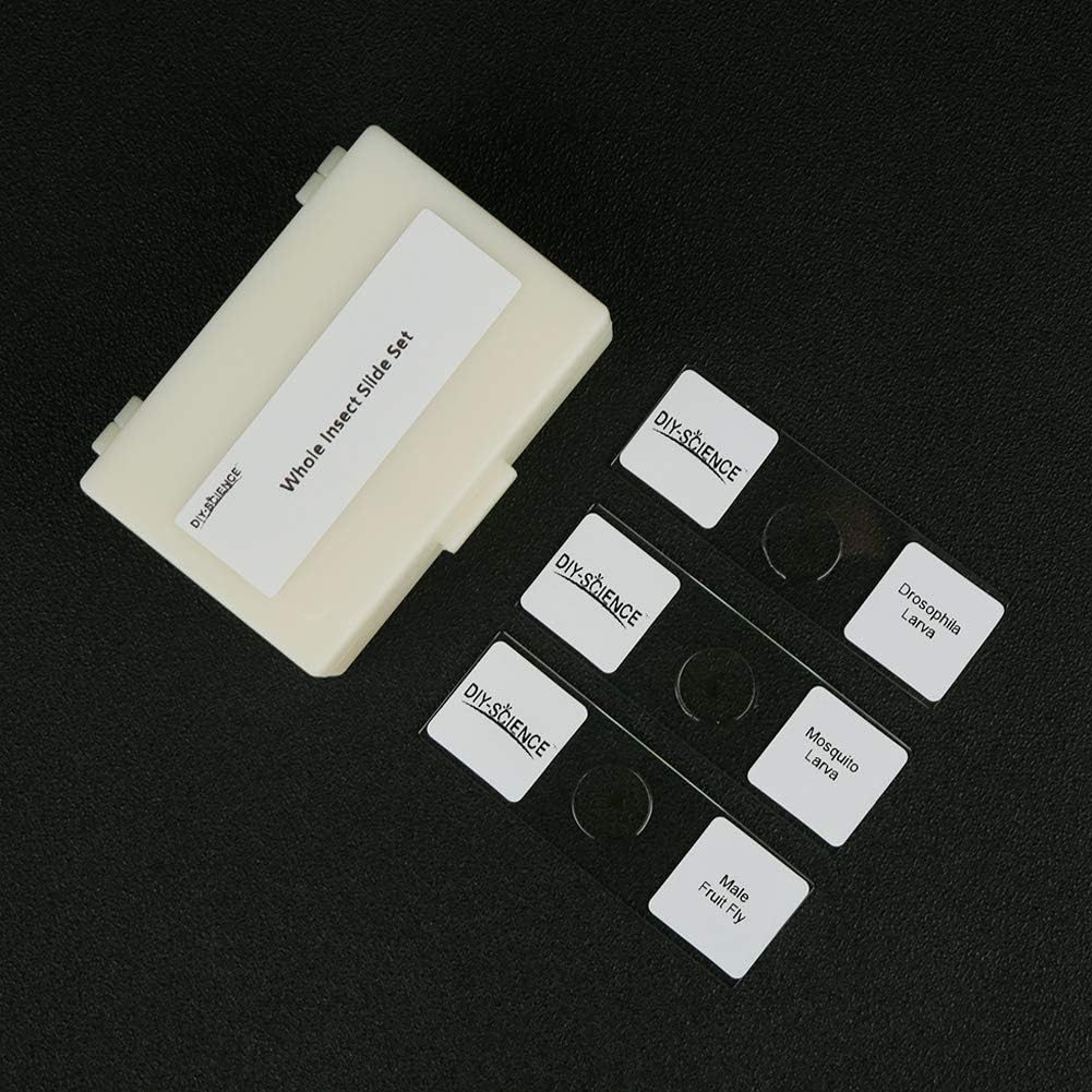 Prepared Whole Insects Microscope Slides Set, 10pcs Specimens for Kids Students Biology Class, Educational Gift
