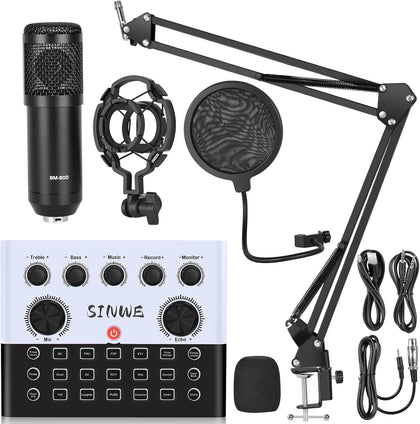 F993 All-in-One Podcast Equipment Bundle，Live Sound Card with microphone | BM-800 Recording Studio Package with Voice