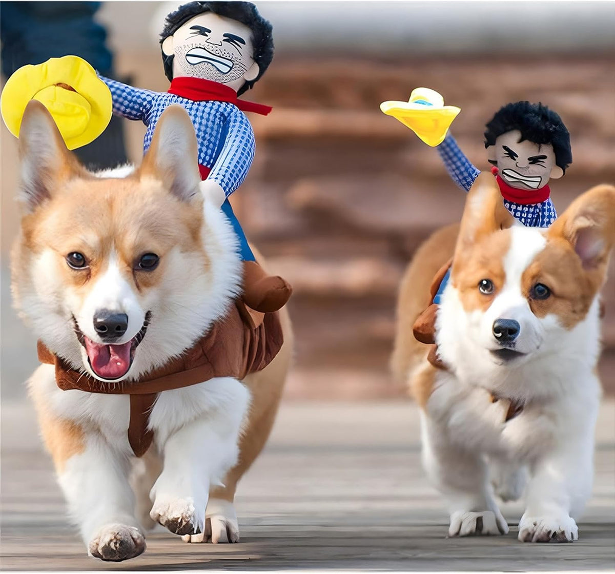 Cowboy Rider Dog Costume for Dogs Clothes Knight Style with Doll and Hat for Halloween Day Pet Costume (S)