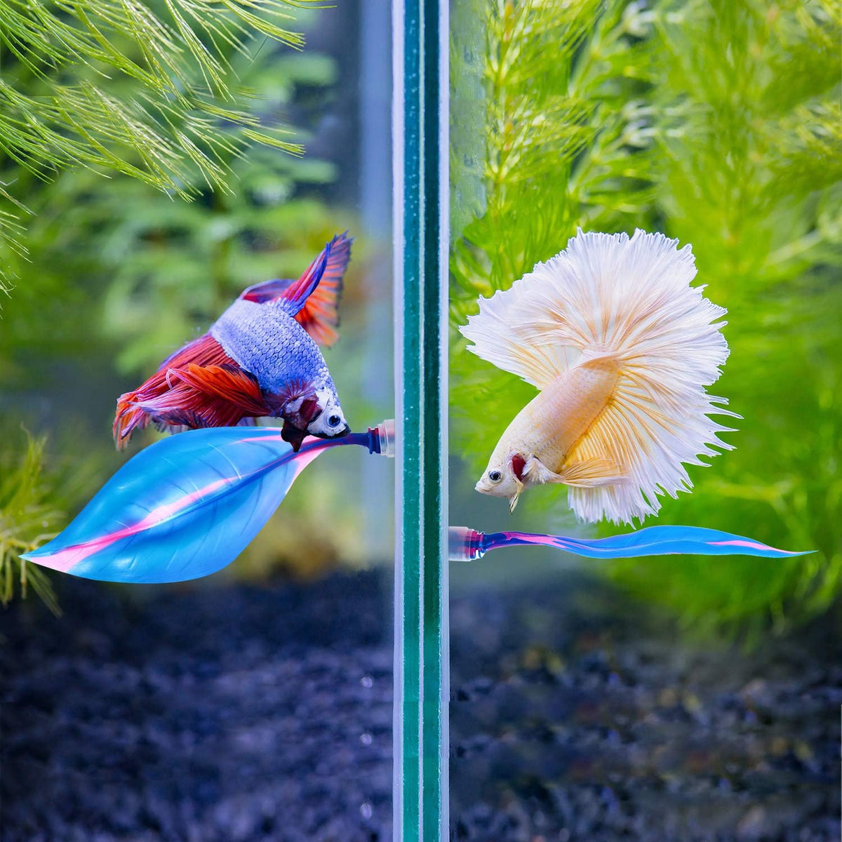 2 Pcs Blue Silicone Betta Fish Bed Leaf Hammock Betta Fish Tank Accessories Decorations for Aquarium Ornaments