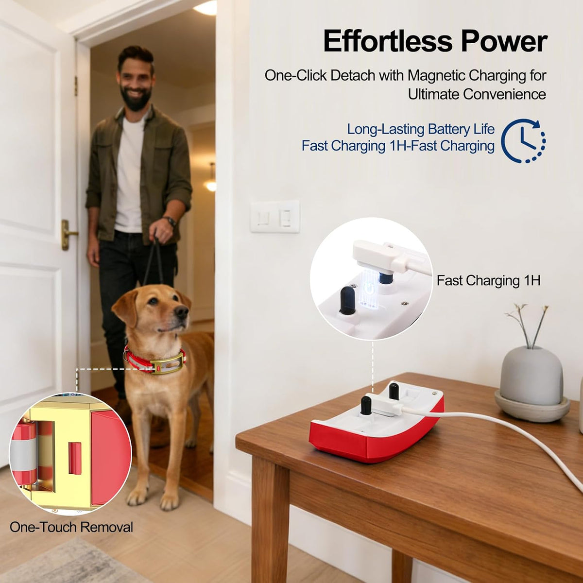 GPS Wireless Dog Fence, Dog Fence Collar, No Monthly Fee for Large Dogs