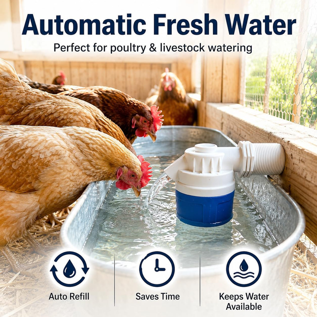 2 Inch Automatic Float Valve
