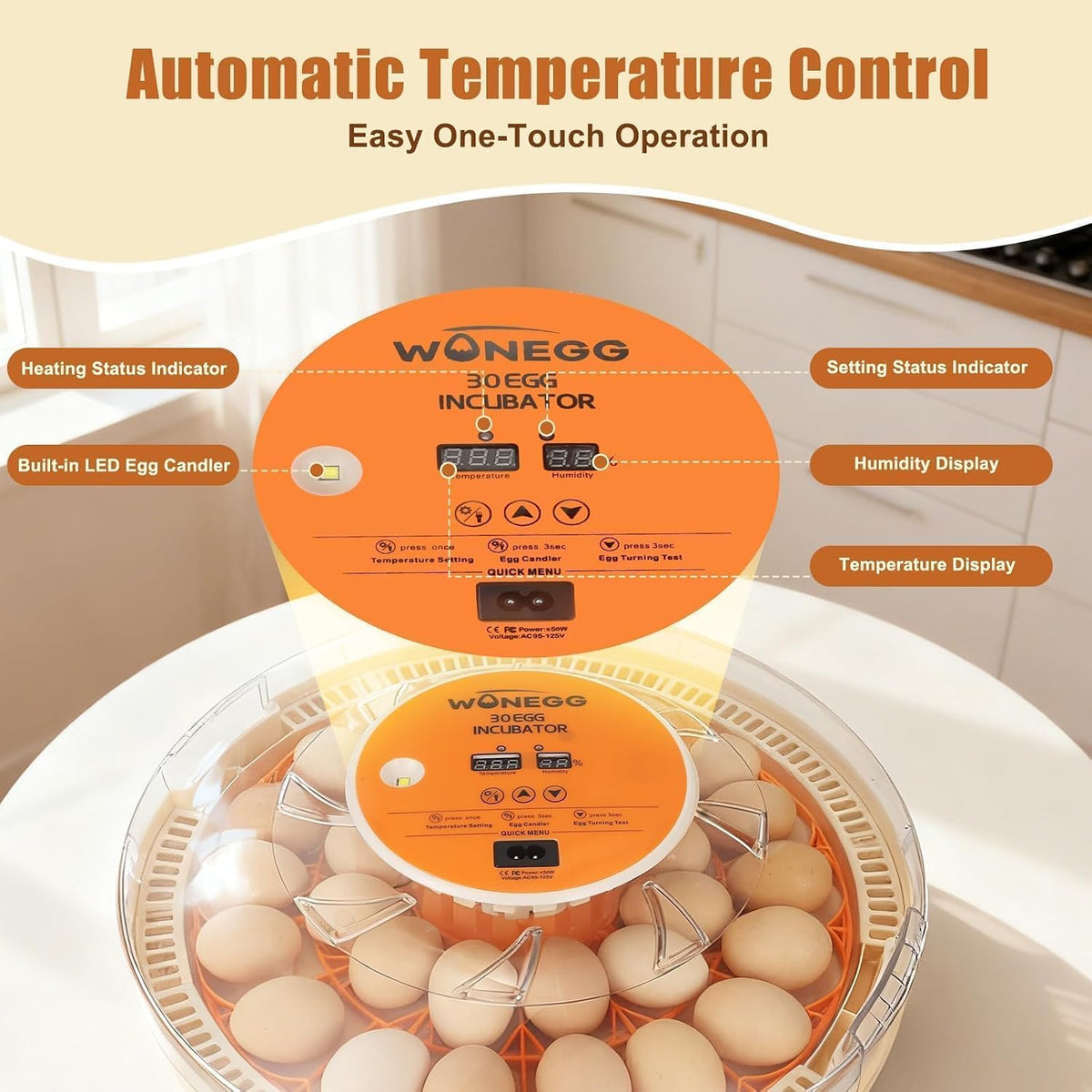 Serie II - 30 Egg Incubator for Experienced Hands-On Hatchers, Auto Egg Turn, Manual Humidity Control (Water Fill)