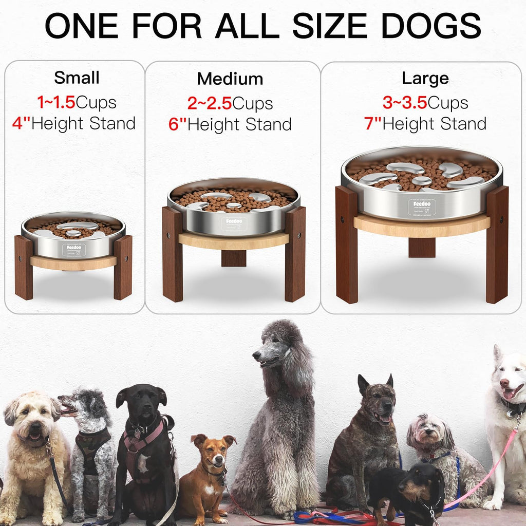 Elevated Dog Bowl Stand, 6'' Height Raised Stand for Medium Dogs, Includes 2Cups Stainless Steel Slow Feeder Dog
