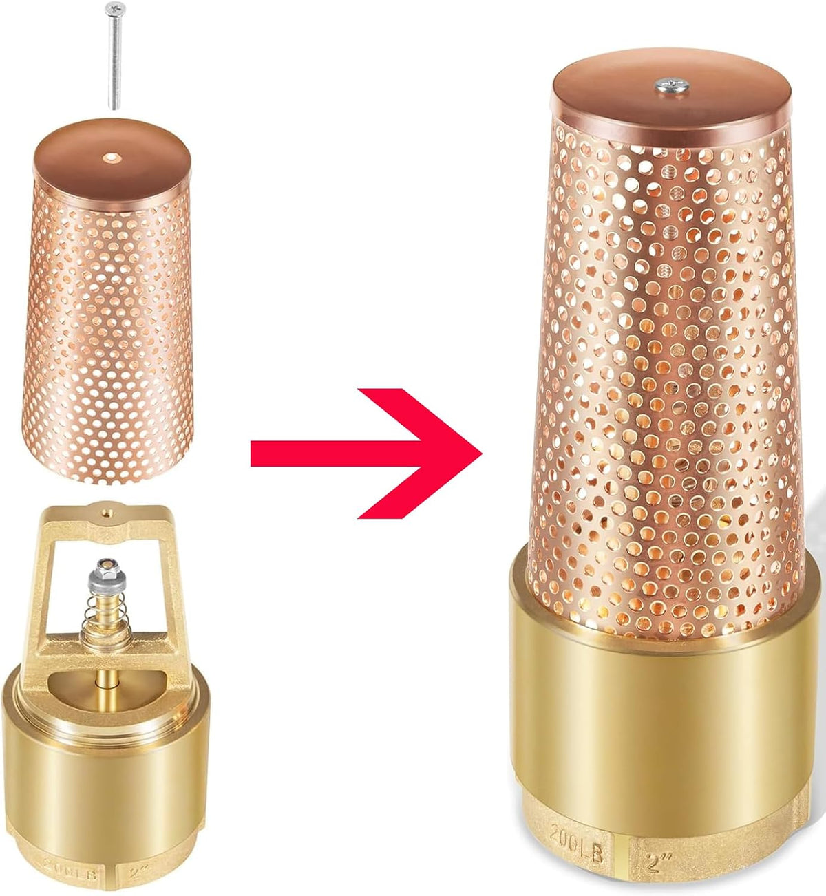 2 Inch Foot Valve One-Way, 2" Female connection -Brass