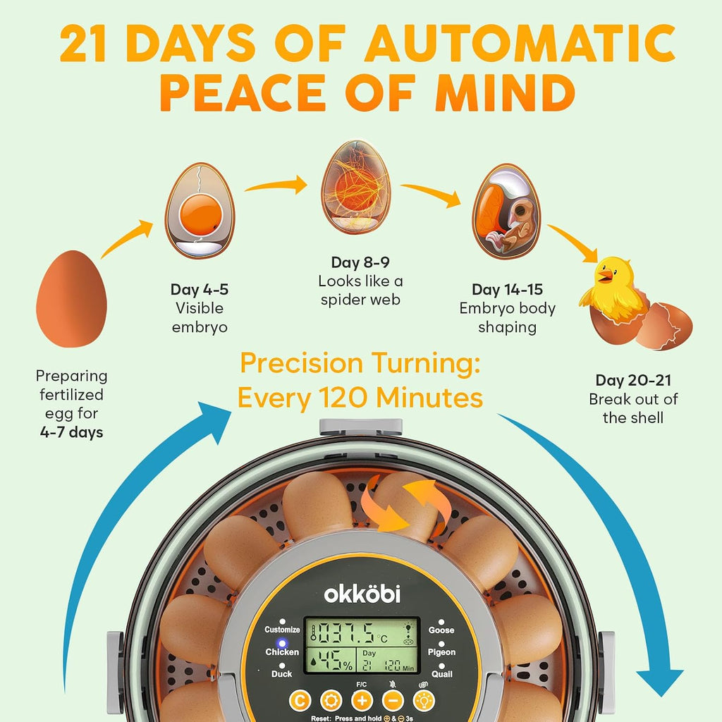 12 Capacity Egg Incubator with Automatic Turning and Candler