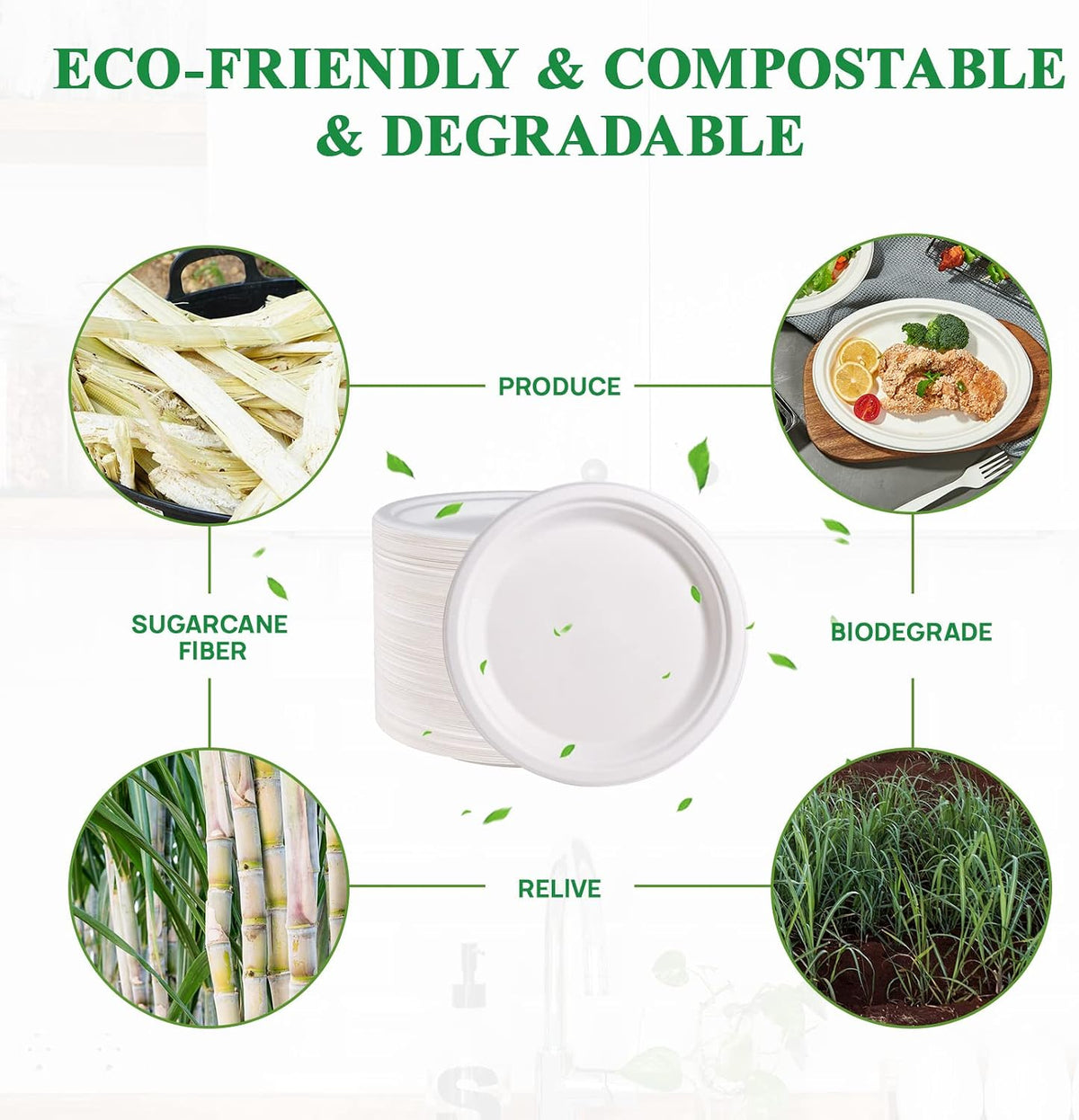 500 Pack Compostable Bagasse Paper Plates 9 inch, White