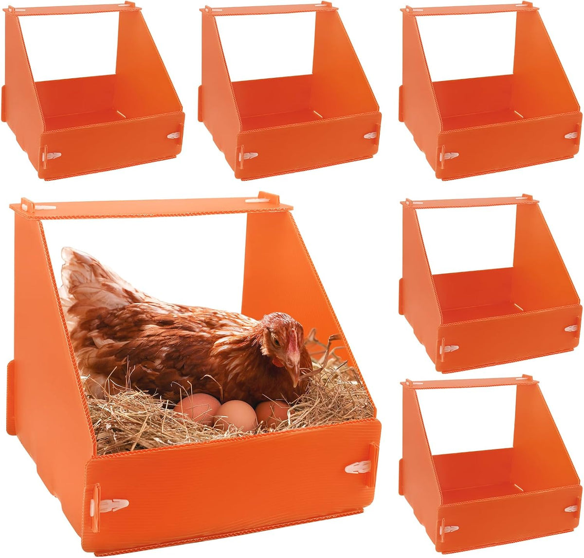 6 Pcs Chicken Nesting Boxes, Durable