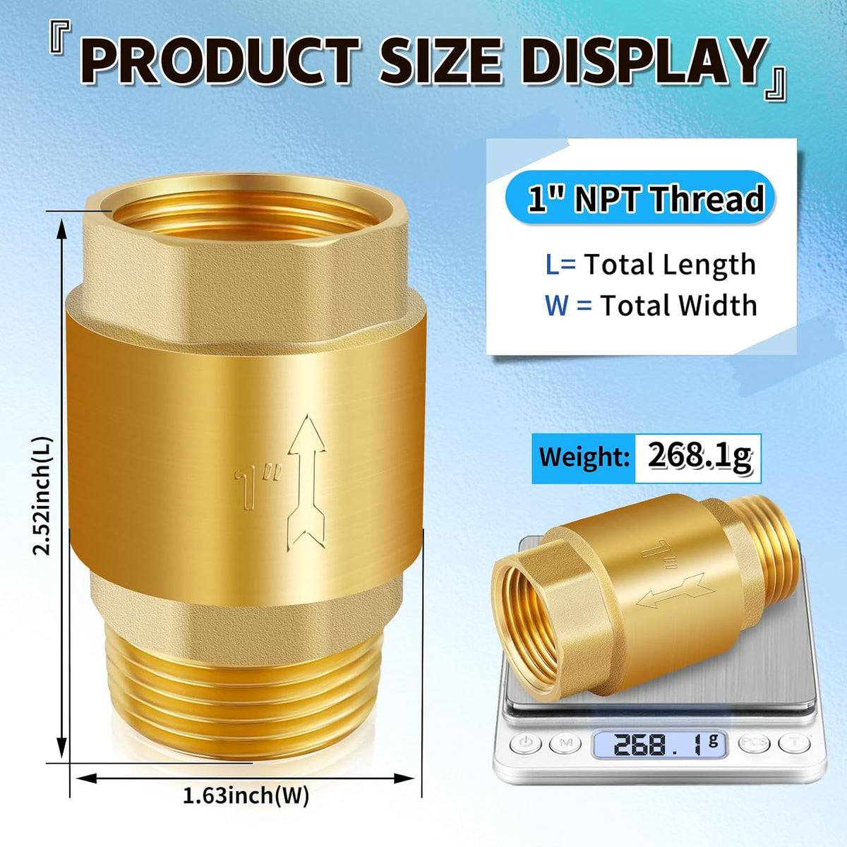 Boltigen 1" Brass Check Valve, NPT Spring One-Way Backflow Preventer