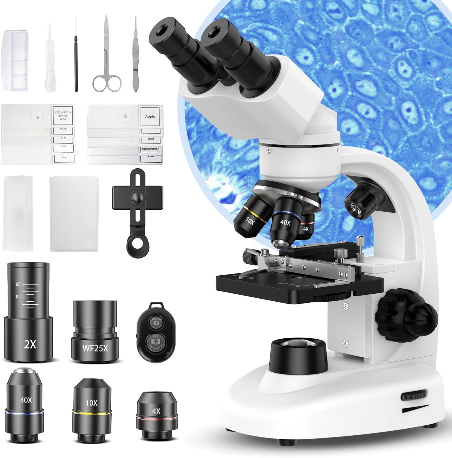 Compound Binocular Microscope for Adults, Professionals&Kids