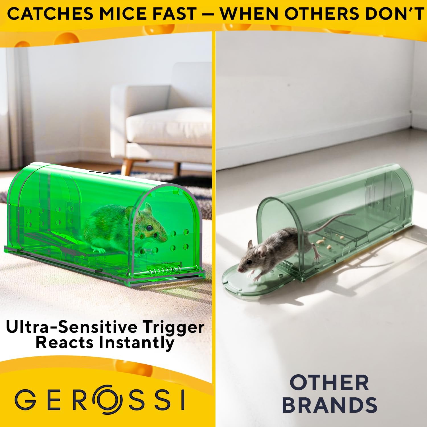 Humane Mouse Trap (2 Pack), Live Catch and Release Indoor Traps for Home | Ultra-Sensitive Trigger, Reusable No-Kill