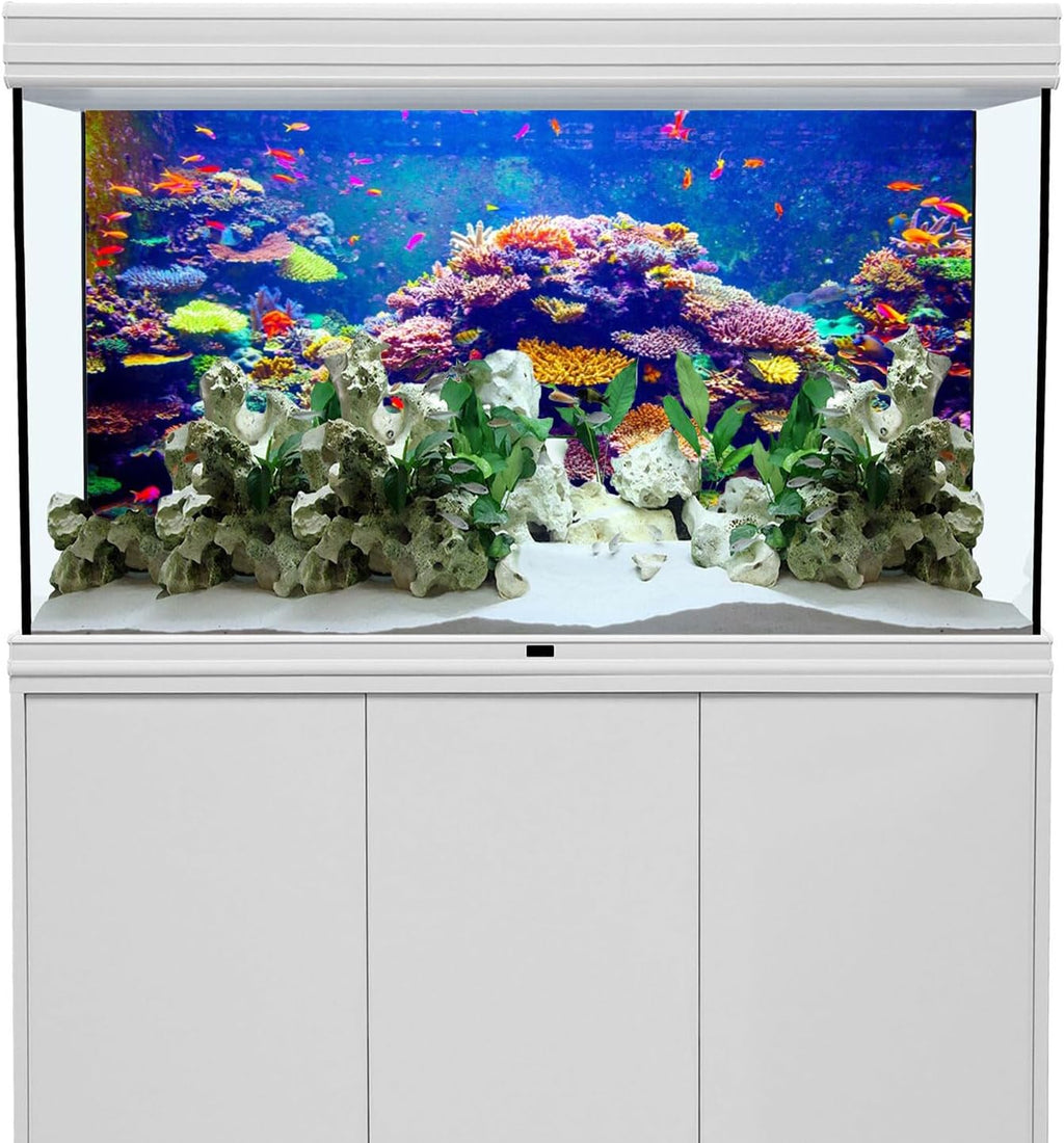 Undersea Aquarium Background 24x12 in Coral Tropical Fish Tank Backdrop