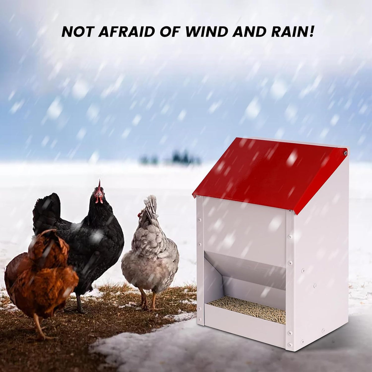 Galvanized Wall Mount Chicken Feeder No Waste Hanging Chicken Feeder with Lid Weatherproof Metal Automatic Poultry