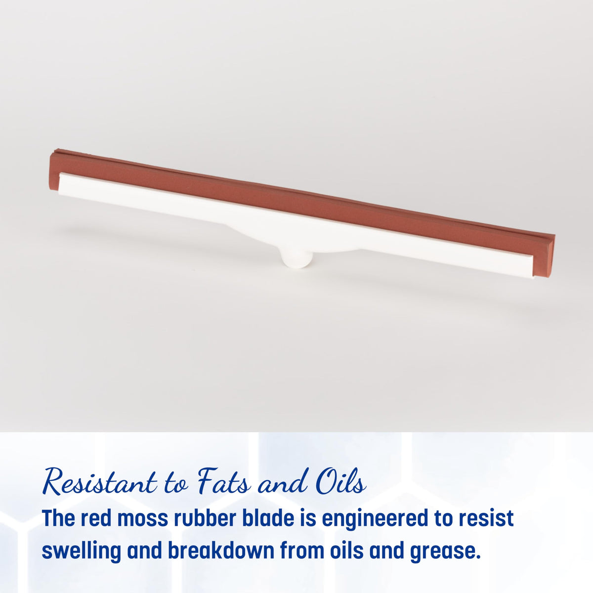 Flo-Pac Moss Foam Floor Squeegee Window Squeegee with Plastic Frame for Floor, Bathroom, Kitchen, Concrete, Tile