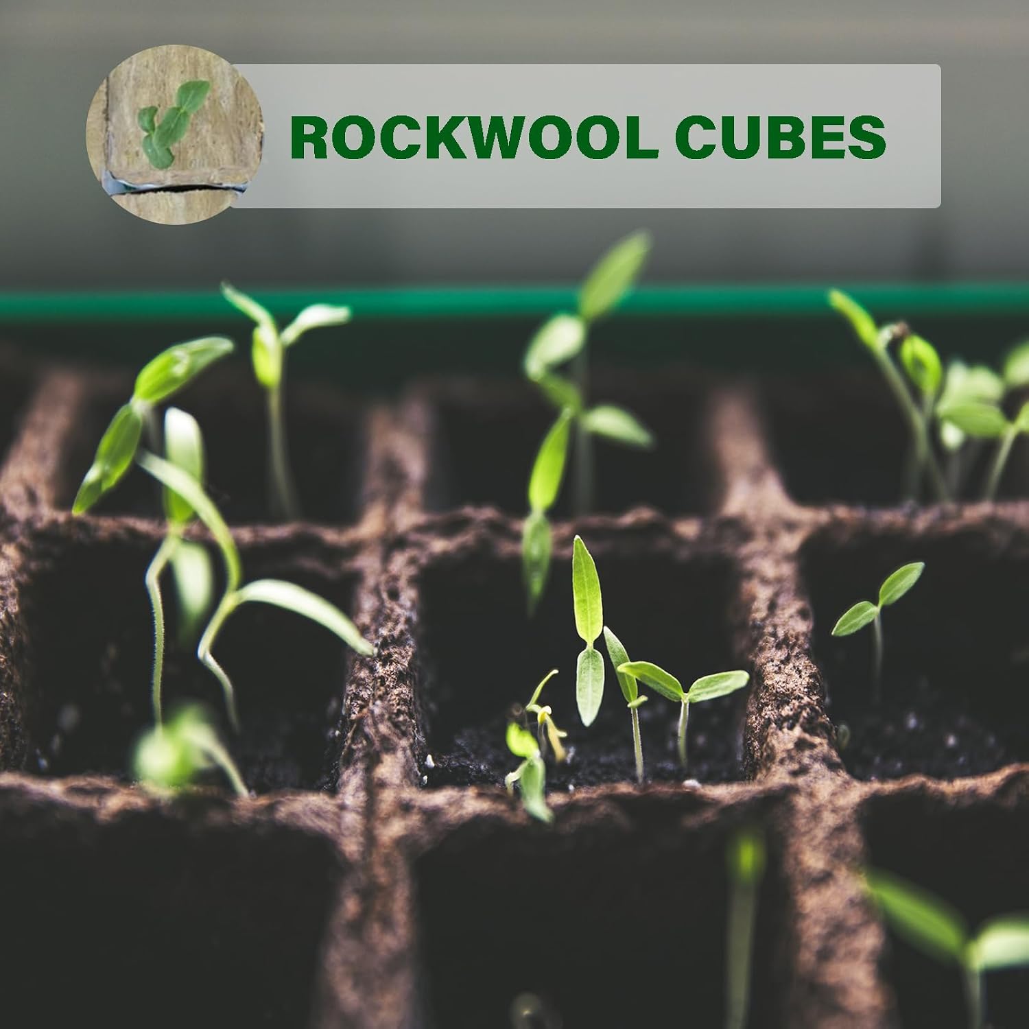 MI0512 1.5” Rockwool Starter Plugs for Hydroponics, Rockwool Grow Cubes, 1 Sheets of 28 Plugs (Small)