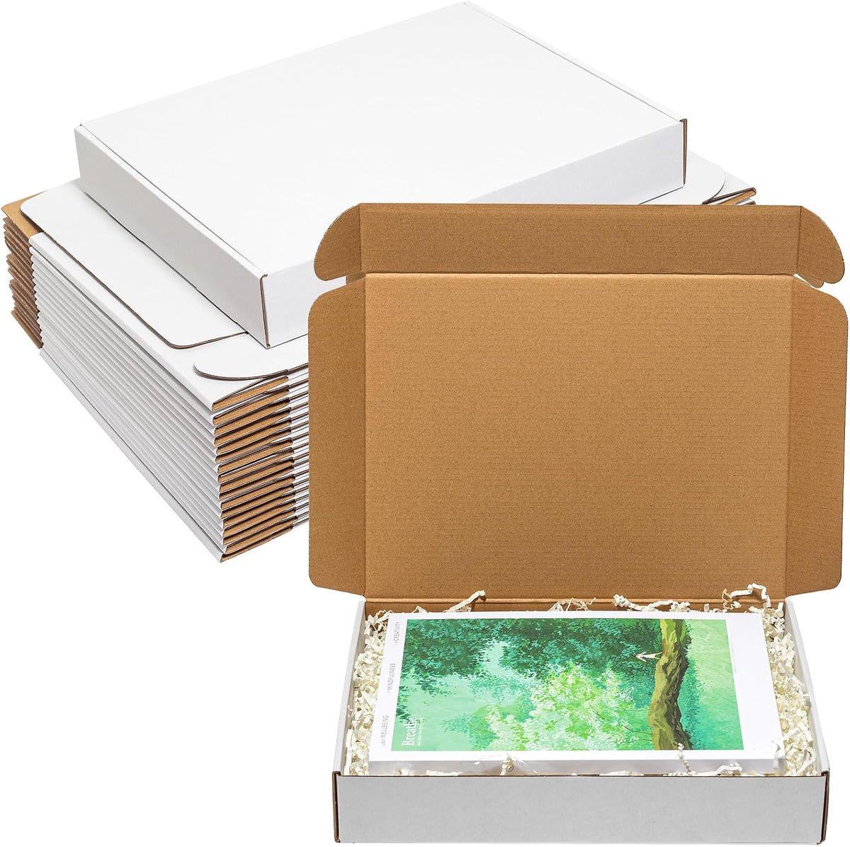 12x9x2 Inches Shipping Boxes 25 Pack Corrugated Cardboard White Box