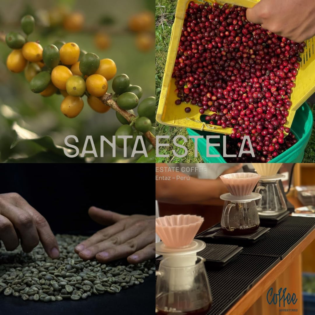 Green Unroasted Coffee Beans from Peru — Finca Santa Estela Single Estate | Direct Trade Specialty Grade | Caturra