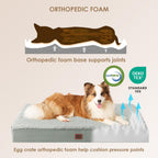 Orthopedic Dog Bed Large with Removable Washable Cover, 35x23