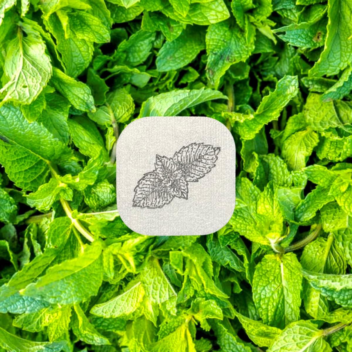 (Spearmint, Pack of 1) - 100% Natural Essential Oil Scented Mask Stickers for Face Mask & Pillow (12 Stickers/pc)